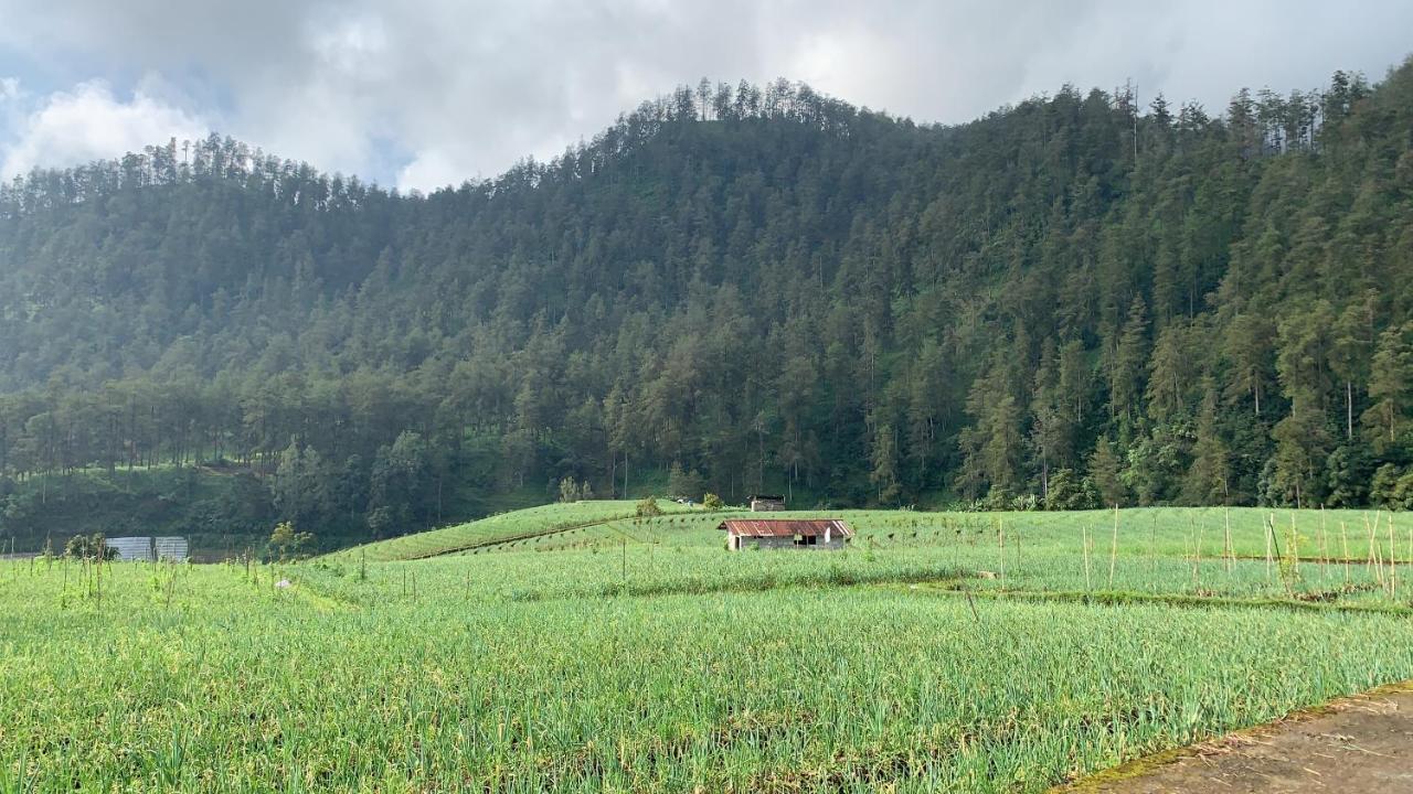 Villa Matahari Tawangmangu Powered By Cocotel エクステリア 写真